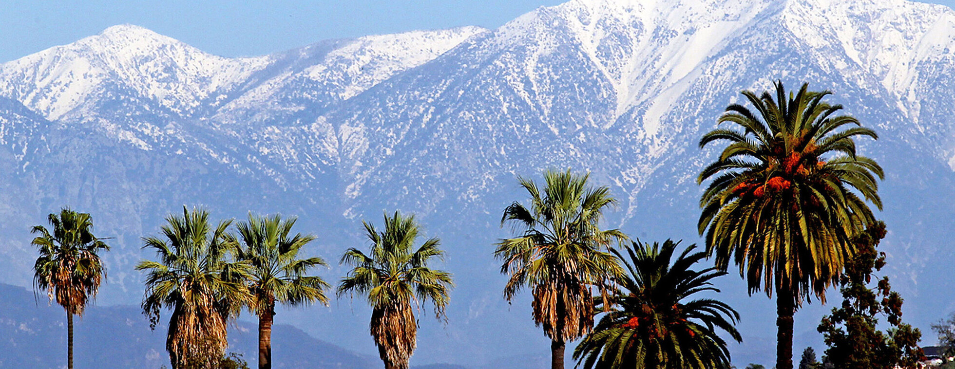 SGV CFA Forms Menu Hub